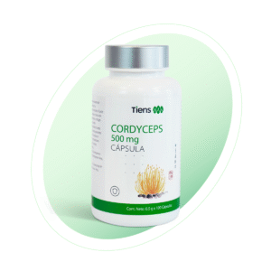 MICELIO DE CORDYCEPS DE TIANSHI